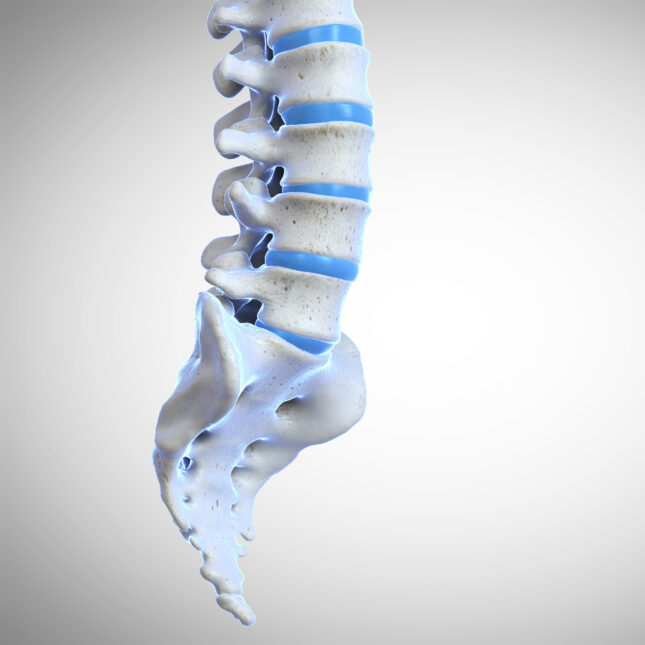 The tail of human spine — coverage from STAT