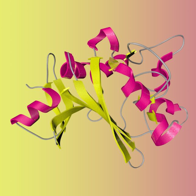 ANGPTL4 gene structure consisting of yellow and pink ribbons, on a gradient background transitioning from yellow on the left to pink on the right — biotech coverage from STAT