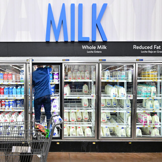 A person climbs into the third from the left among seven display fridges from the milk section to grab a bottle from the top shelf — health coverage from STAT