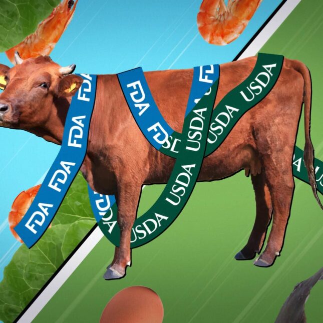 A colorful illustration of a dairy cow wrapped in ribbons with the FDA and USDA logos, surrounded by floating eggs, lettuce, shrimp and catfish