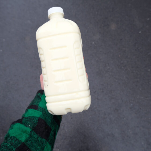 A photograph of the author holding a bottle of raw milk, which has been more relevant amidst bird flu testing, after meeting a supplier in a suburban drop location.