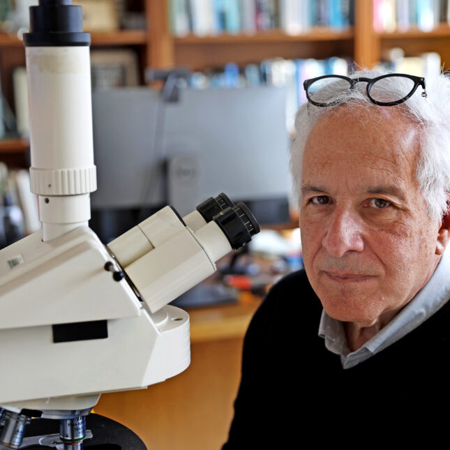 A photograph of Harvard's Dr Jeffrey Lichtman who is leading efforts to construct a neural wiring diagram that will reveal fundamental new insights about how the brain likes. Efforts to map the brain connect dome and a new paper in the journal science that details the most detailed map of a piece of human brain every created is coming out.